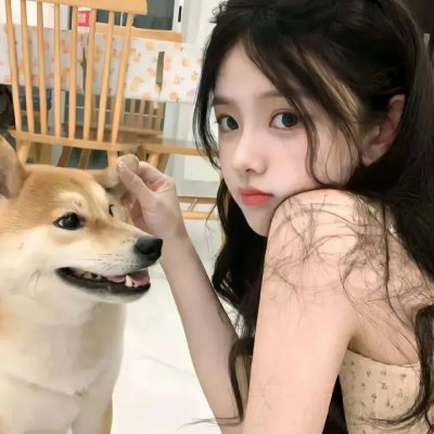 美女与纯情男 在线观看封面