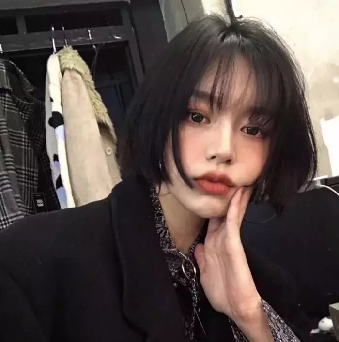 欢迎来到超自然森林 在线观看封面